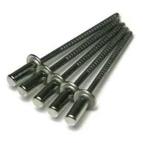 Albanycountyfasteners 793244355387 Closed End Sealed Pop Rivets 6-8 3/16 Inch X 1/2 Grip 0.376 - 0.500 Silver