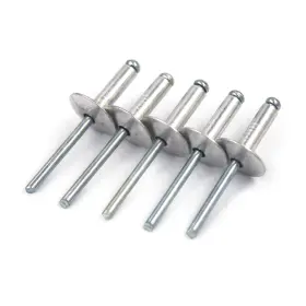 6025012021 ALLOYPRO Flange Blind Rivets