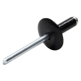 ALL18013 ALLSTAR PERFORMANCE Lg Rivet
