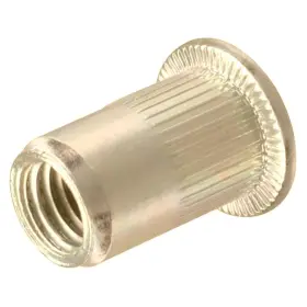 BCP203 BCP FASTENERS Rivet Nuts Zinc Carbon Steel Flat Head