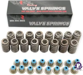 SP011 DYNOSTY Brian Tooley Btr Lift Beehive Valve Springs Hat SP011 DYNOSTY Brian Tooley Btr Lift Beehive Valve Springs Hat