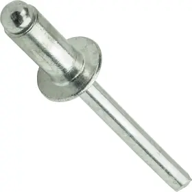 184013 FASTENERE Pop Rivets Pack
