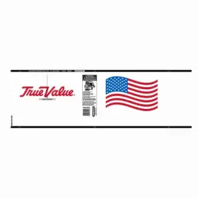 05GTUSA1300 TRUE Paint Pail Gallons 05GTUSA1300 TRUE Paint Pail Gallons