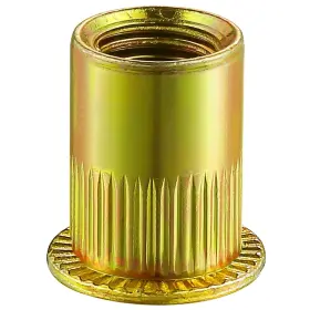 100003 WENSILON Rivet Nut Zinc Finish Flat