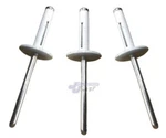 Large Head White Exploding Rivets Pop Rivet 250 Ct. Tri-fold Racing Fasteners. Fixed Price $49.95.