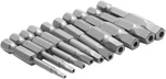 10-piece Magnetic Pentagon Head Screwdriver Bit Set Metric Sizes 1/4 50mm. Fixed Price $17.58.
