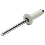 Sm Hd Rivet White 250pk Allstar Performance All18001. Fixed Price $17.53.