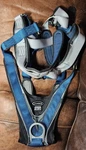 Dbi Sala Exofit Xp I Safe Intelligent Safety System Harness Size Xl Nwot. Fixed Price $175.00.