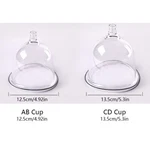 Electric Vacuum Pump Suction Breast Enlargement C/d Cup Lifting Massager. Fixed Price $29.72.
