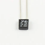 Vigor Source 10pcs. Of New Rh 130c Thermal Fuse 2a 250v. Fixed Price $10.28.
