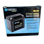 Thunderbolt Magnum 12v 10 Ah Sealed Lead Acid Generator Battery 62586 New. Fixed Price $75.00.