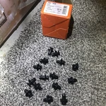 New Genuine Part Dorman 700-850 Rivet-nylon Push-hole Diameter .275 In. Pack 15. Fixed Price $20.99.