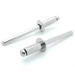 304 Stainless Steel Blind Rivets (#6-4) 3/16" Diameter X 1/4" Grip, 100 Qty (bcp. Fixed Price $19.95.