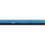 Victor Technology Ez12pbl Ruler, Inch, Gloss, White, Plastic, 12in.. Fixed Price $6.75.
