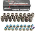 Dynosty Brian Tooley Btr .560'' Lift Ls6 Beehive Valve Springs And Hat Seals 4.8. Fixed Price $245.00.