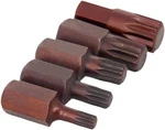 Utoolmart Torx Screwdriver Bits, 5 Piece H10 30l M5+m6+m8+m10+m12. Fixed Price $10.84.
