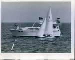 1972 Buffalo Tom Allen Yacht Race Lightning Class Historic Vintage Photo 8x10. Fixed Price $24.99.