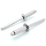 304 Stainless Steel Blind Rivets (#6-7) 3/16" Diameter X 7/16" Grip, 100 Qty (bc. Fixed Price $20.75.